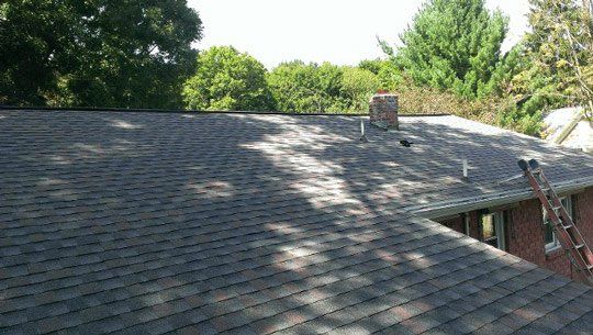 Crew ladder on a newly shingled roof among the trees